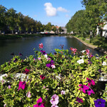 IMG_20220920_213005_755