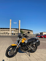Olympisch geel voor stadion