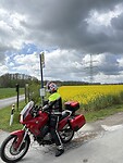 Bus gemist, maar mooi uitzicht over koolzaadvelden