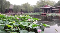 20170724_104926