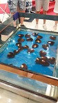 20170724_122838