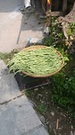 20170731_100238
