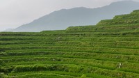 20170731_100254_HDR