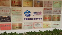 20170731_140640