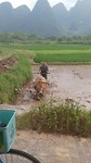 20170802_091929
