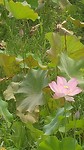 20170802_093720