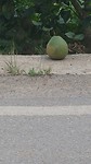 20170802_094559