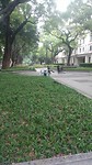20170803_080337