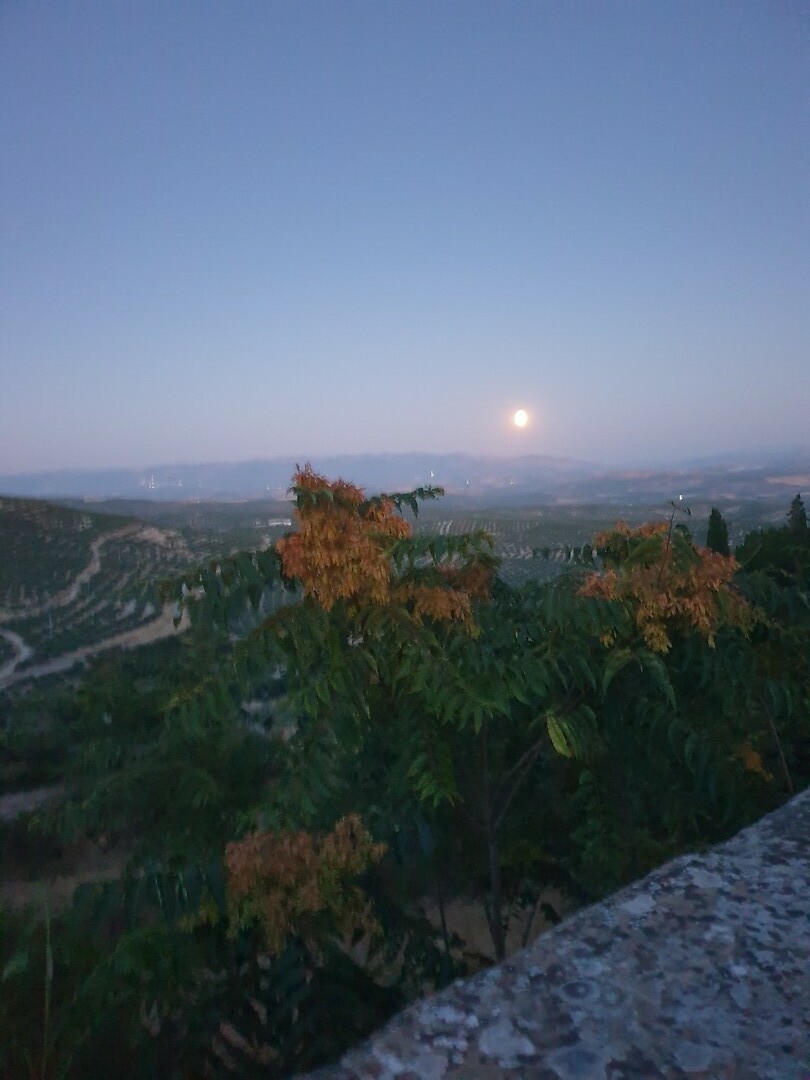 Uitzicht Úbeda