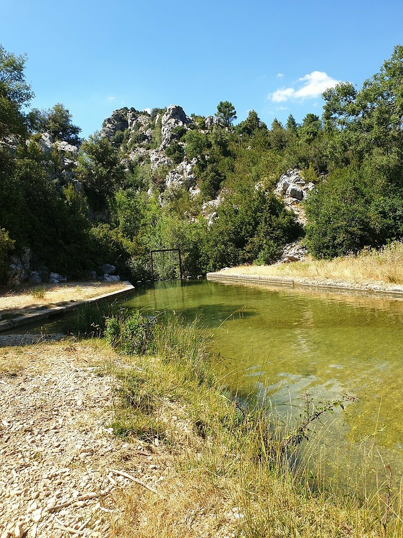 de rivier