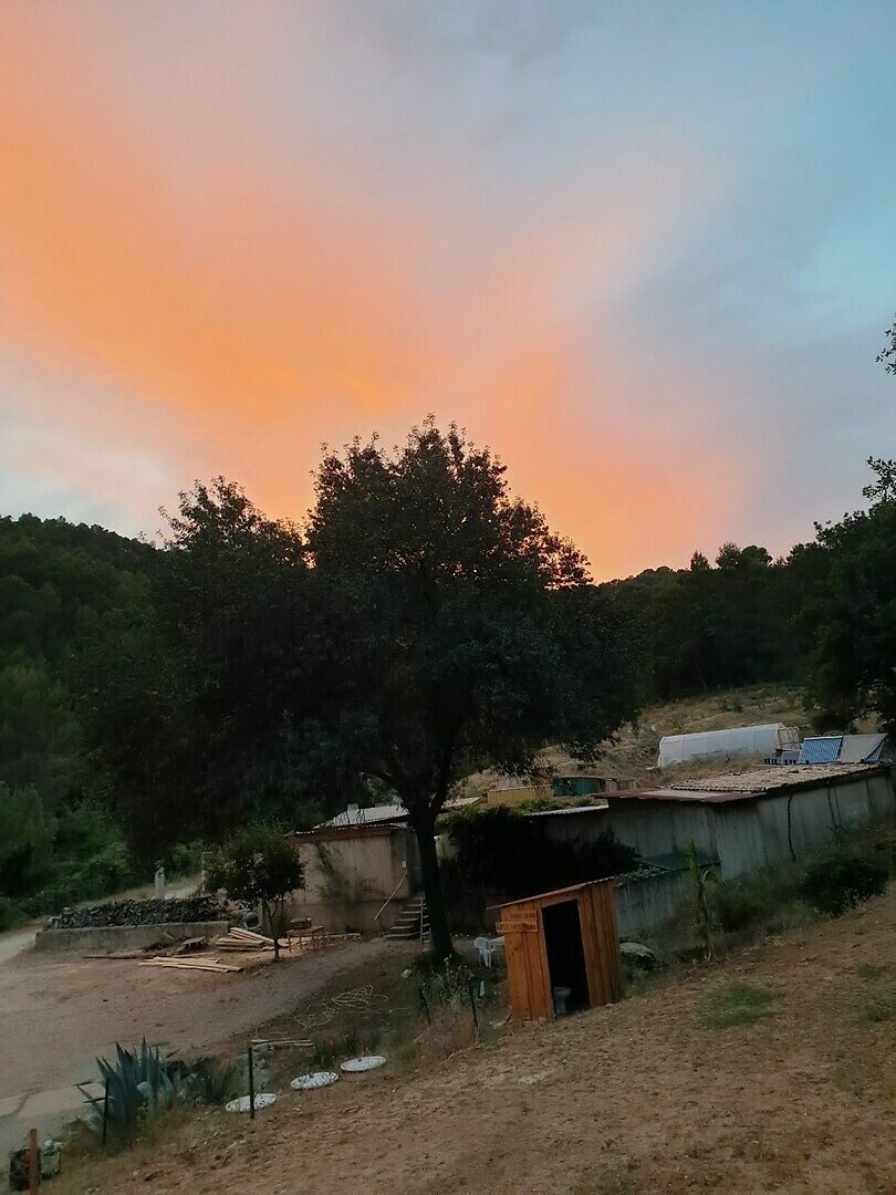 avondrood