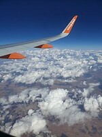 terug vlucht