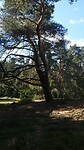 Lutterzand