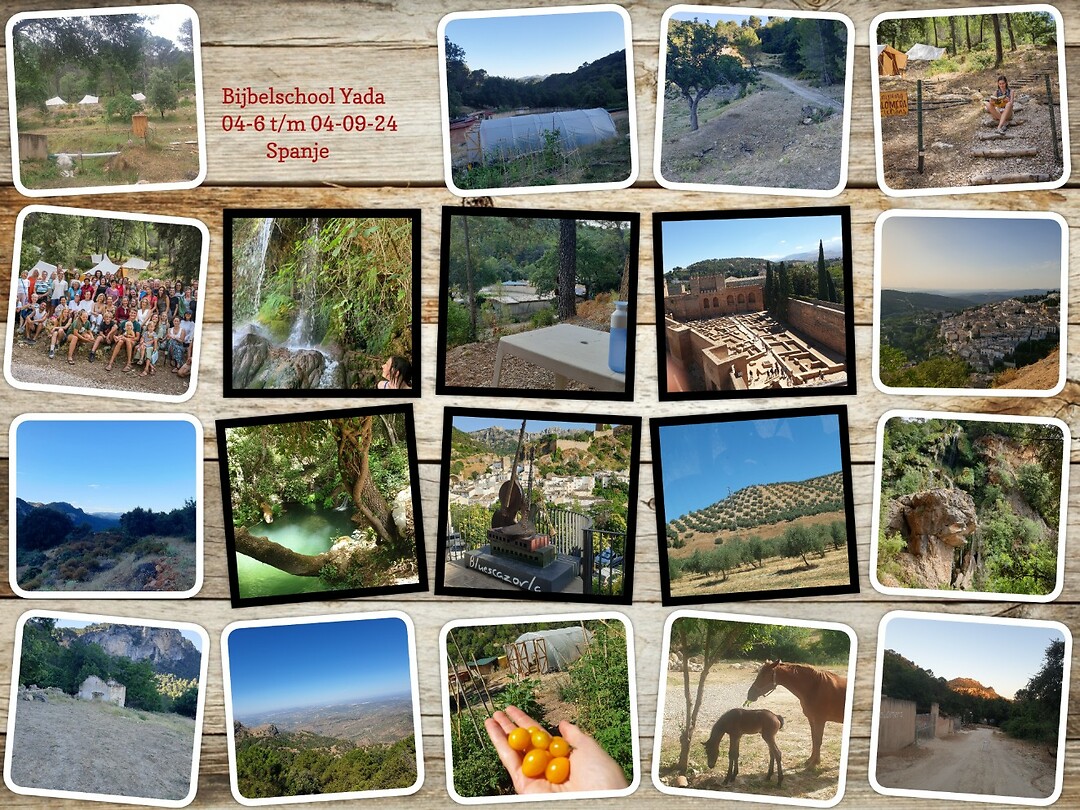 collage Yada studie