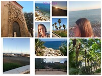 collage malega