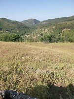 20250622_102010