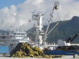 Visserij is na toerisme de grootste bron van inkomsten voor Seychellen