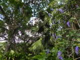 Botanical Garden