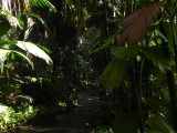 Botanical Garden