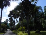 Botanical Garden