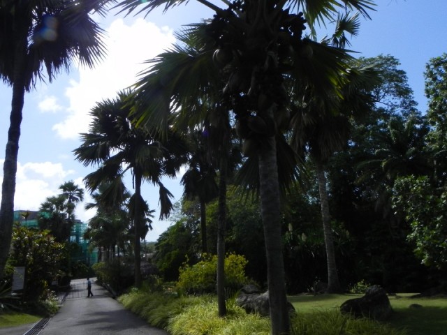 Botanical Garden