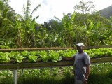 Boer op La Digue