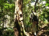 Copolia trail