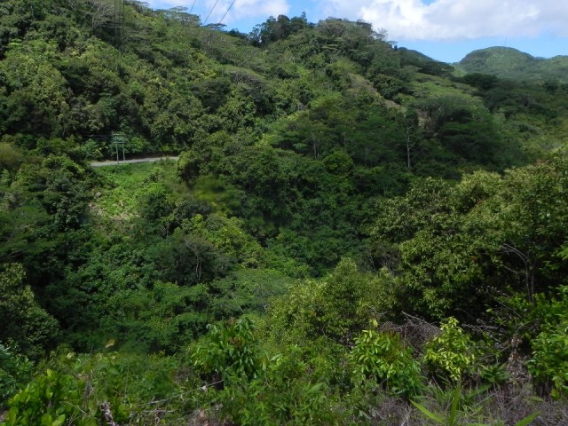 Nationaal park Morne Seychellois