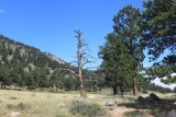 IMG_5997