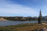 IMG_6181