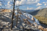 IMG_6391