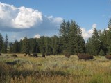 IMG_7973