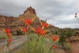 IMG_6964