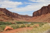 IMG_6989