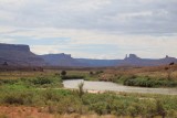 IMG_7003