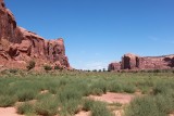 IMG_7935