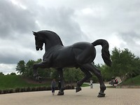 IMG_4533
