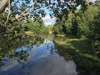 IMG_5168