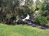 IMG_5691