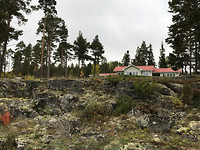 IMG_6146