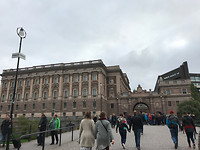 IMG_6650