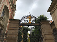 IMG_6678