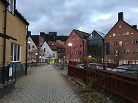 IMG_7036