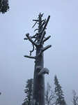 IMG_7469