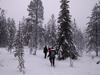 IMG_20171105_145750