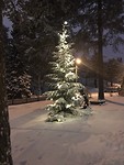 IMG_7990