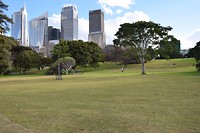 Sydney_botanic_gardens_2