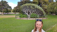 Botanic_Gardens_1