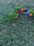 IMG_4219