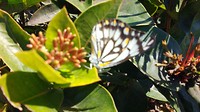 IMG_20170725_124605371